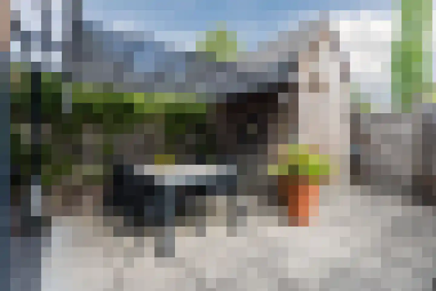 Doelenstraat 7 Harderwijk thumbnail 42