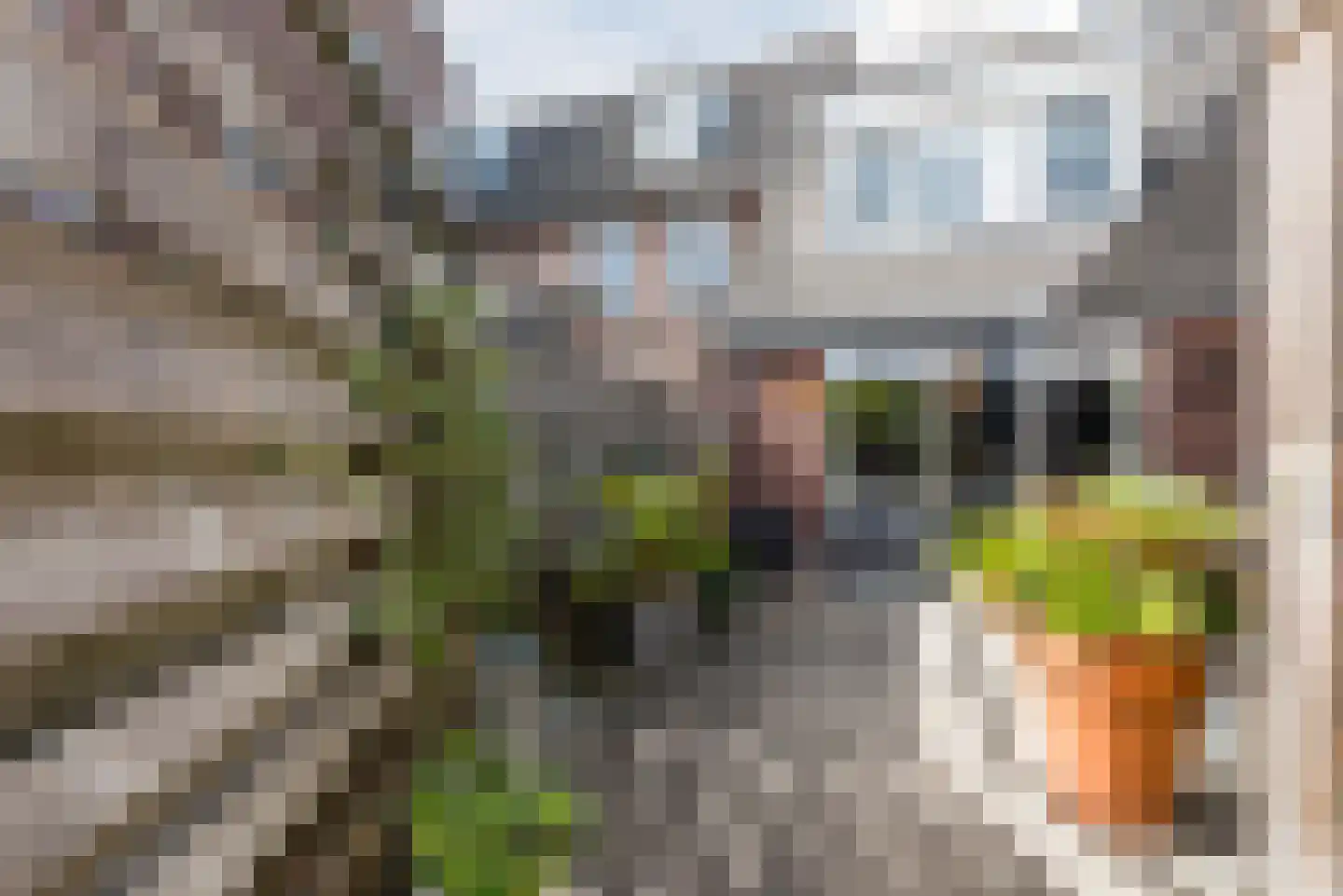Doelenstraat 7 Harderwijk thumbnail 43