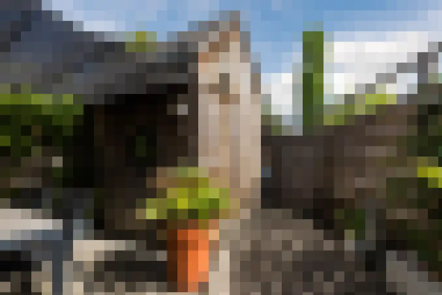 Doelenstraat 7 Harderwijk thumbnail 44