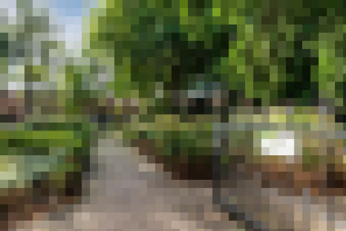 Doelenstraat 7 Harderwijk thumbnail 51