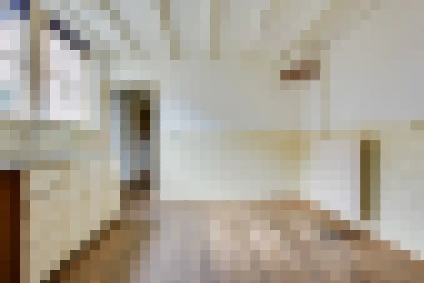 Doelenstraat 74 Hilvarenbeek thumbnail 21