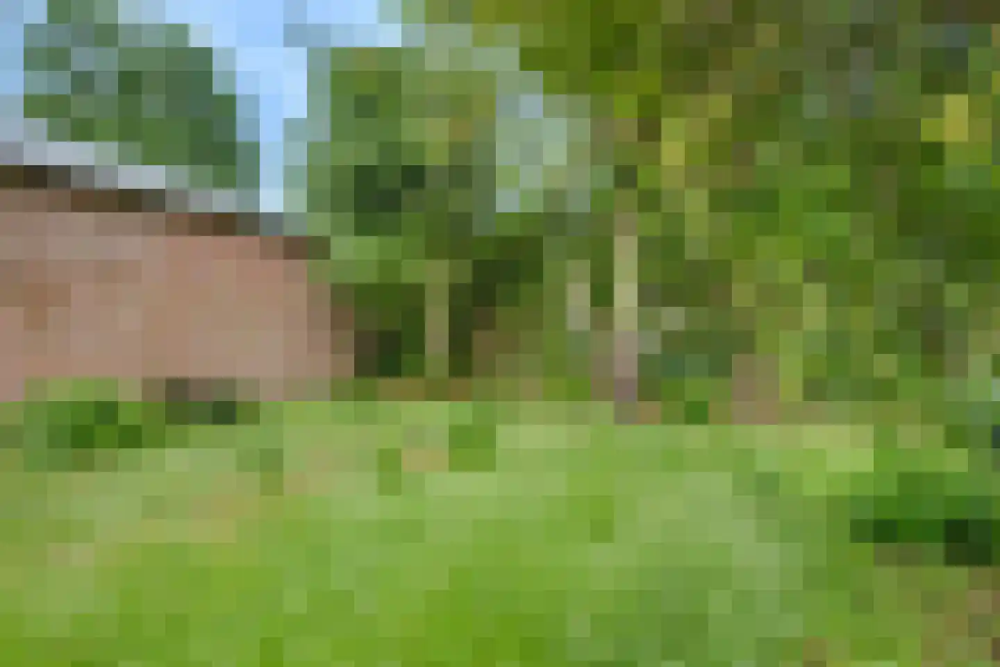 Doelenstraat 74 Hilvarenbeek thumbnail 29