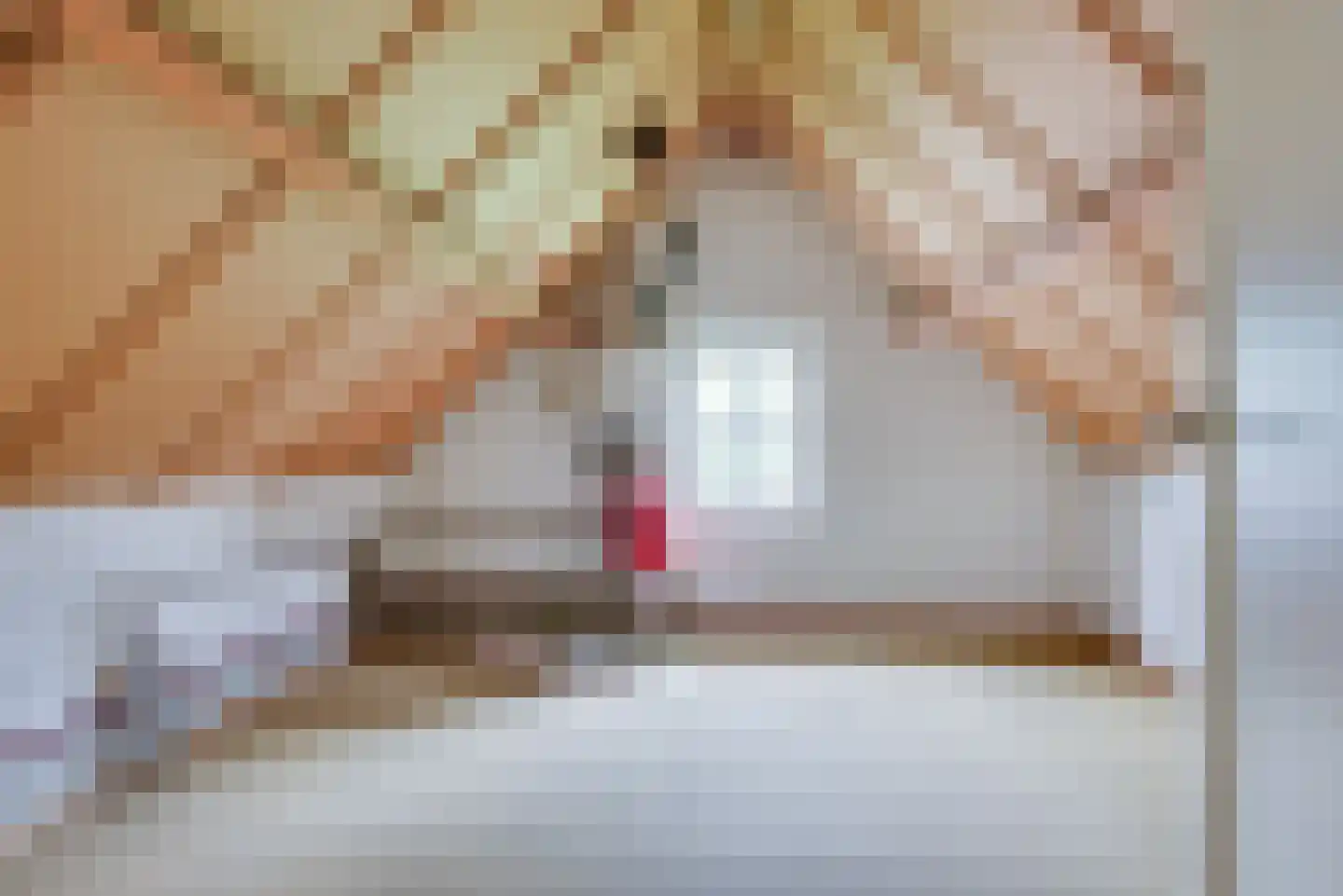 Doelenstraat 74 Hilvarenbeek thumbnail 44