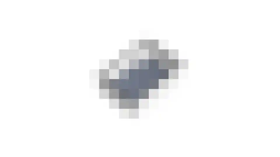 Doelenstraat 74 Hilvarenbeek thumbnail 54