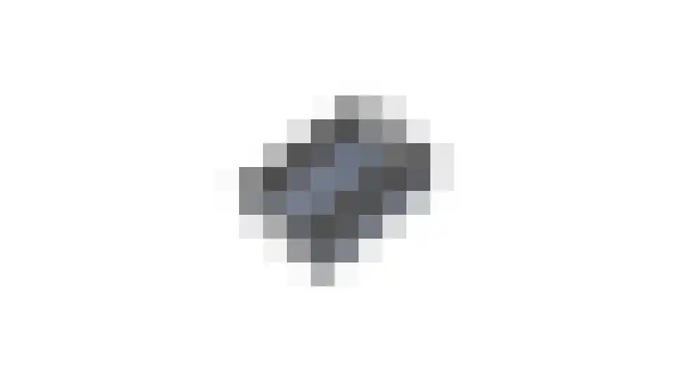 Doelenstraat 74 Hilvarenbeek thumbnail 60