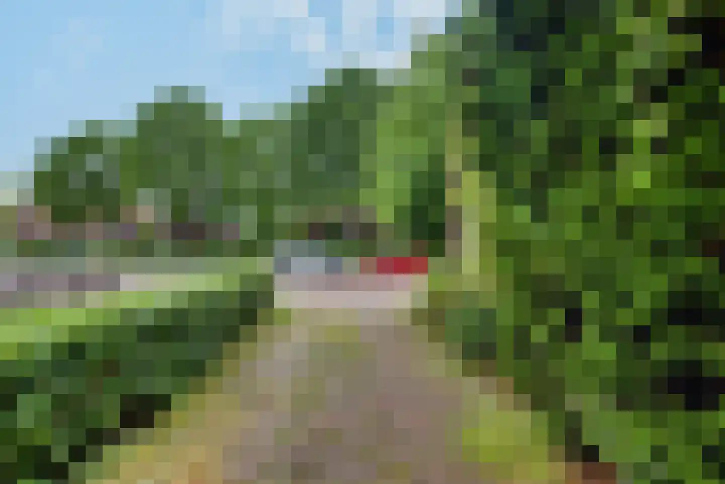 Doelenstraat 74 Hilvarenbeek thumbnail 7