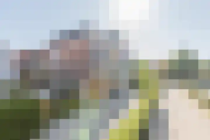 Doelenveld 20 M Alkmaar thumbnail 17