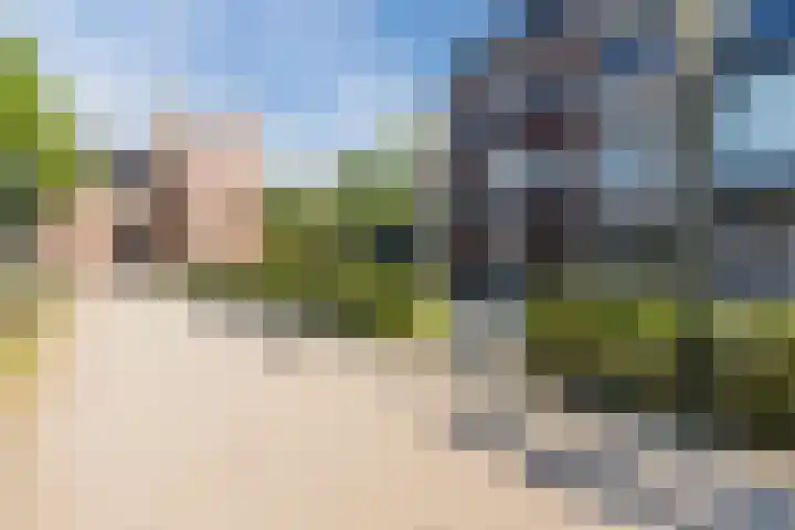Doelenveld 20 M Alkmaar thumbnail 19