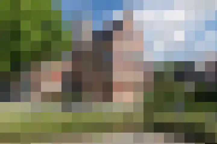 Doelenveld 20 M Alkmaar thumbnail 24