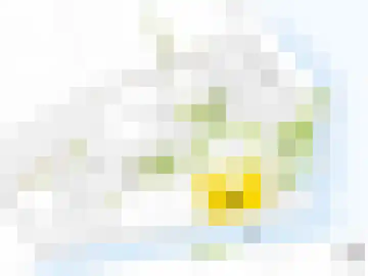 Doeleplein 12 Schiedam thumbnail 9