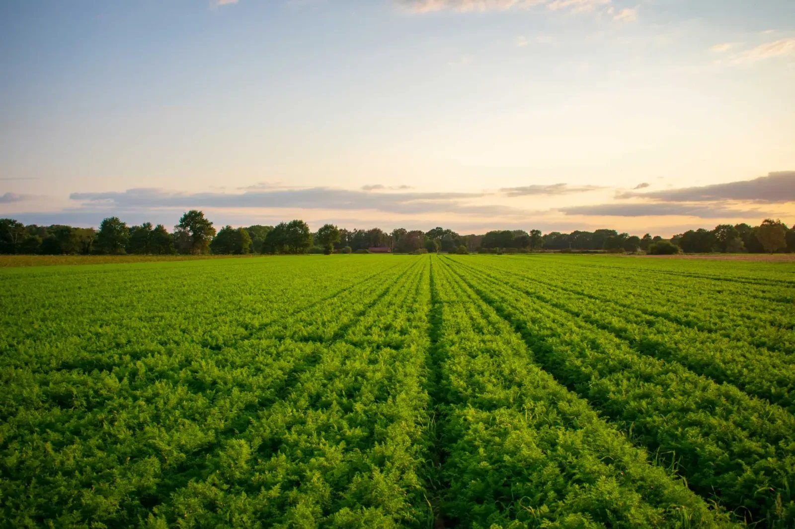 Team photo of Doelgraaf B.V.