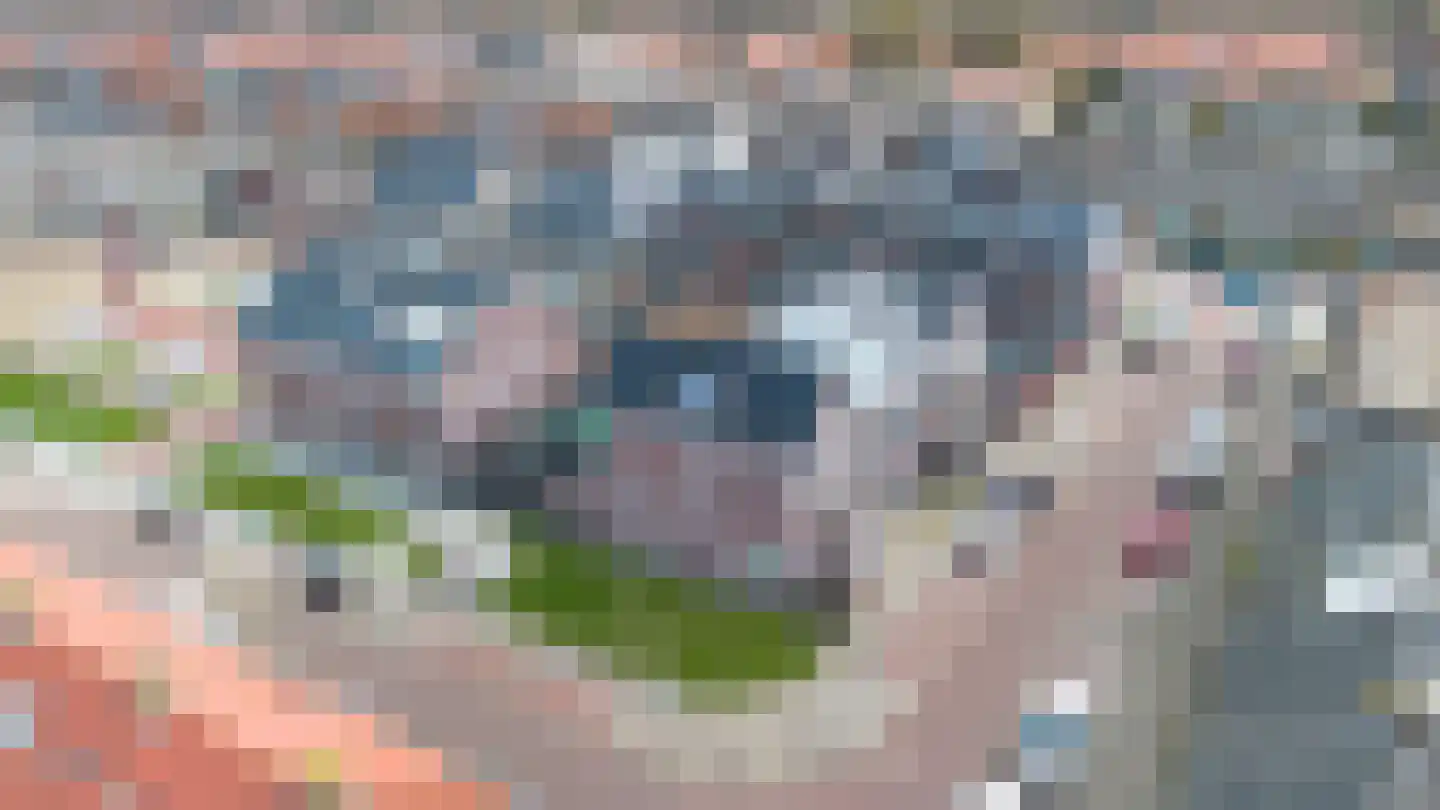 Doelmanstraat 19 Velsen-Noord thumbnail 43