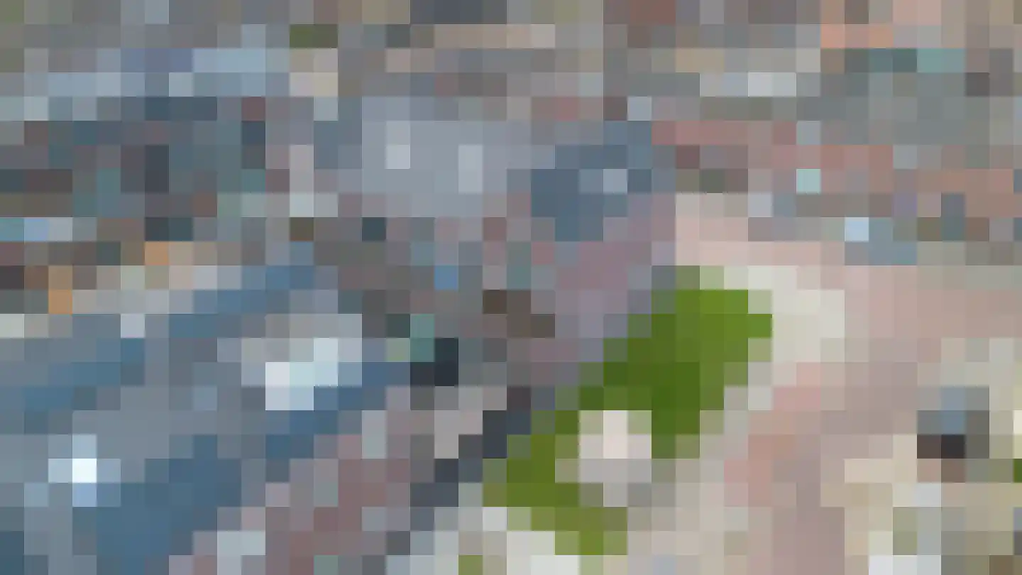Doelmanstraat 19 Velsen-Noord thumbnail 44