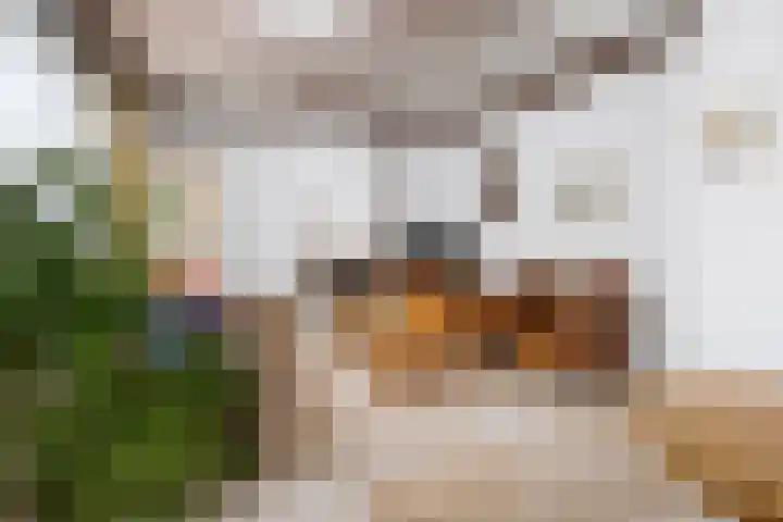 Doelpad 1 Oudenbosch thumbnail 14