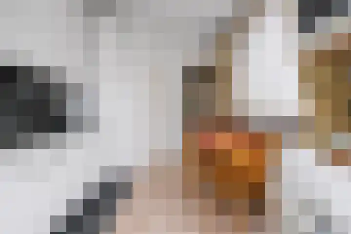 Doelpad 1 Oudenbosch thumbnail 18
