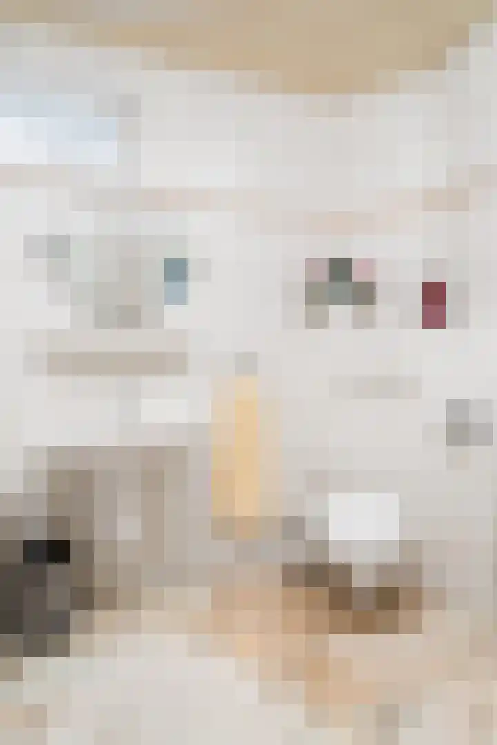 Doelpad 1 Oudenbosch thumbnail 22