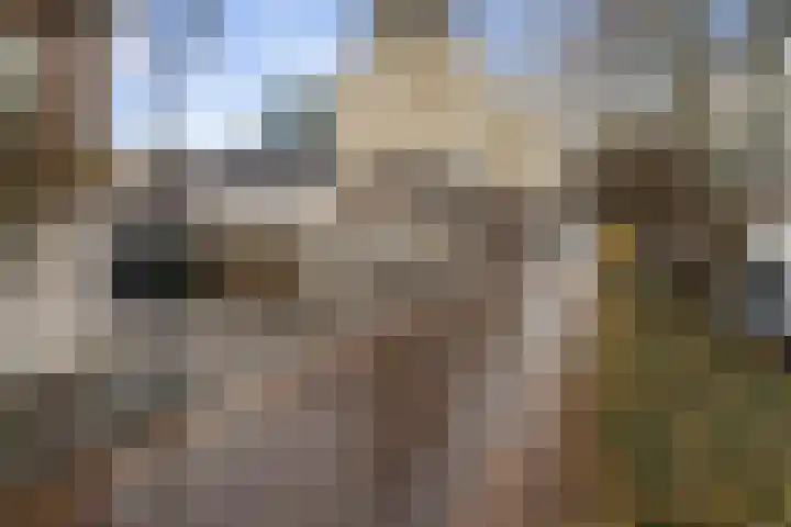 Doelpad 1 Oudenbosch thumbnail 39