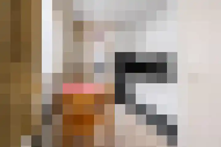 Doelpad 1 Oudenbosch thumbnail 4