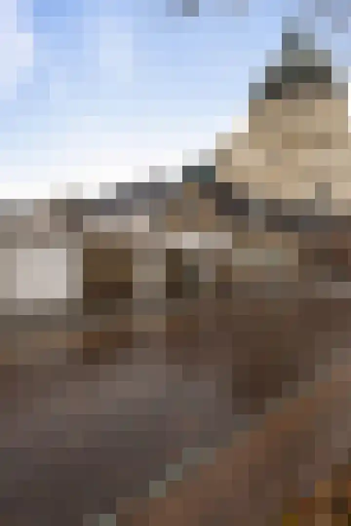 Doelpad 1 Oudenbosch thumbnail 40