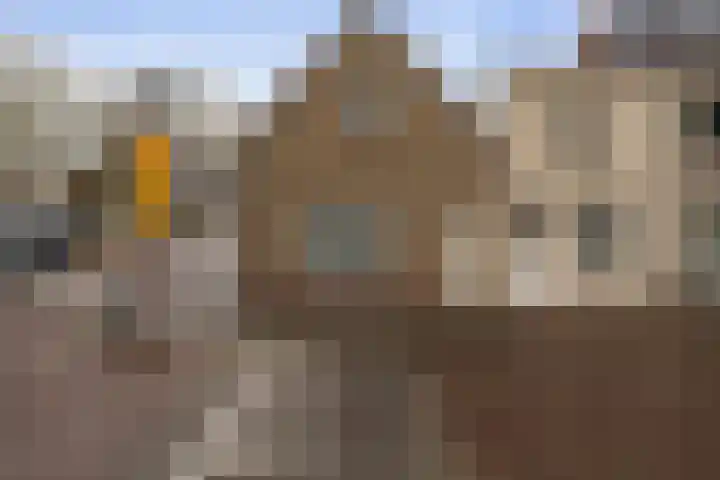 Doelpad 1 Oudenbosch thumbnail 8