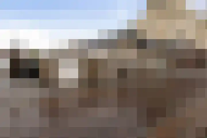 Doelpad 1 Oudenbosch thumbnail 9