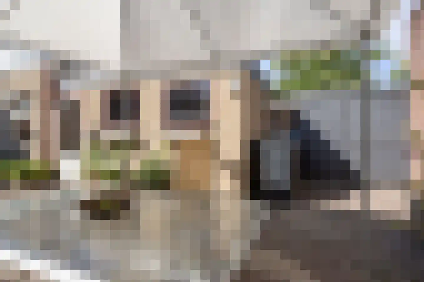 Doelpad 5 Oudenbosch thumbnail 28