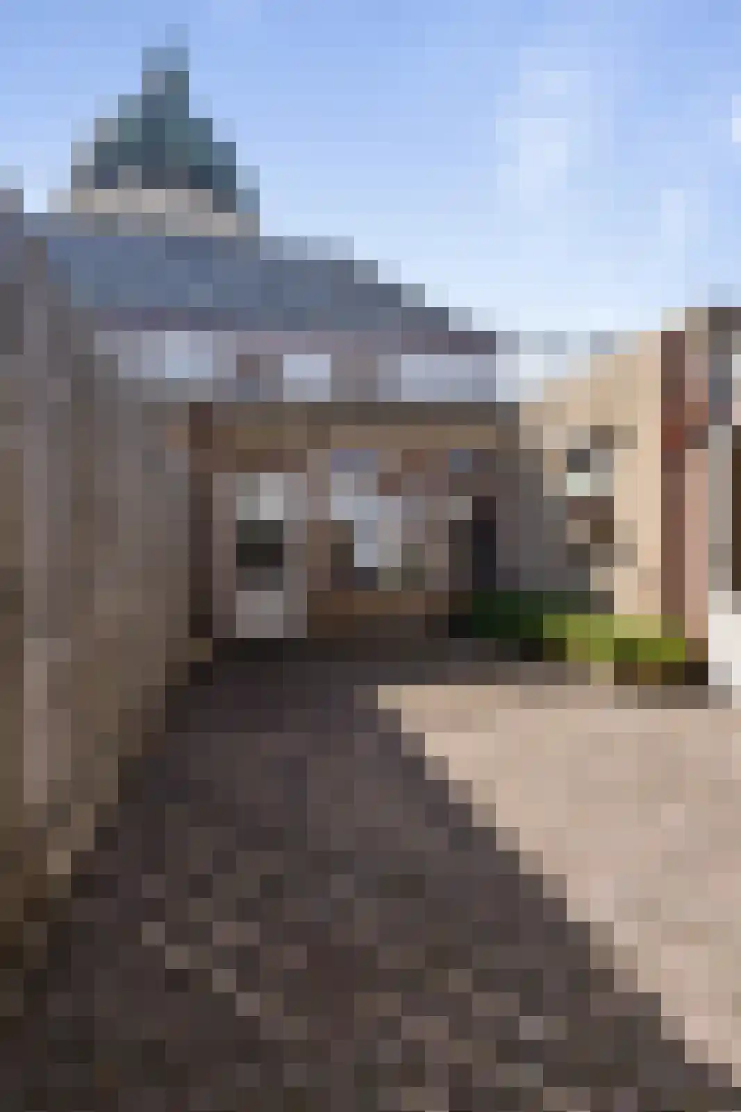 Doelpad 5 Oudenbosch thumbnail 29