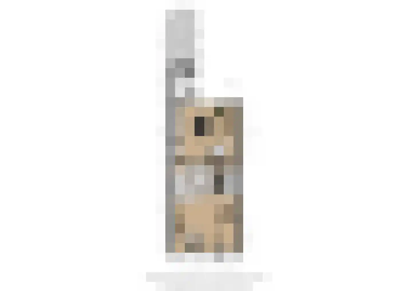 Doelpad 5 Oudenbosch thumbnail 32