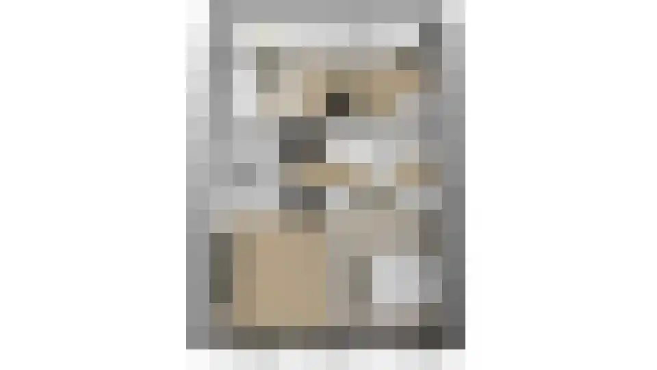 Doelpad 5 Oudenbosch thumbnail 33