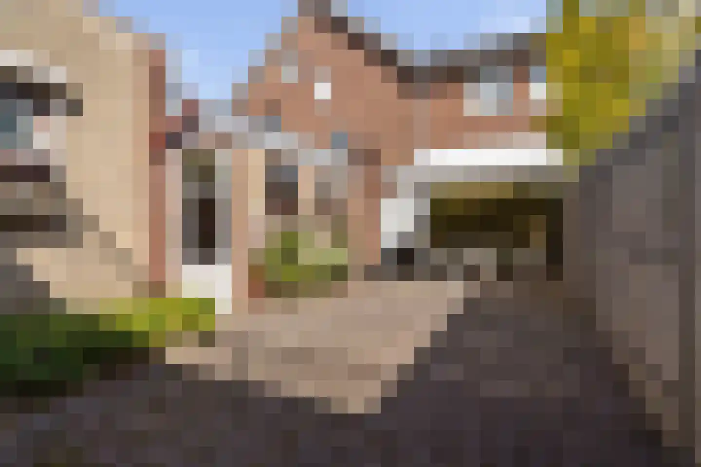 Doelpad 5 Oudenbosch thumbnail 7
