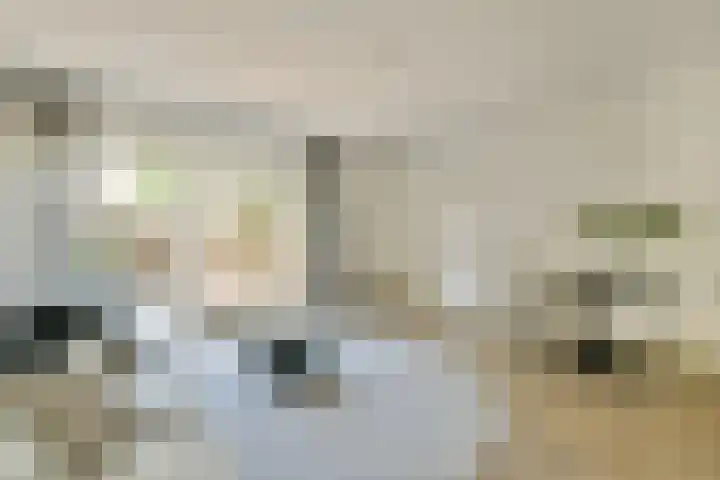 Doelpad 6 Oudenbosch thumbnail 4