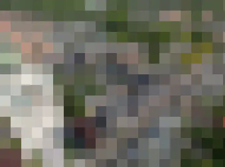 Doelpad 6 Oudenbosch thumbnail 5