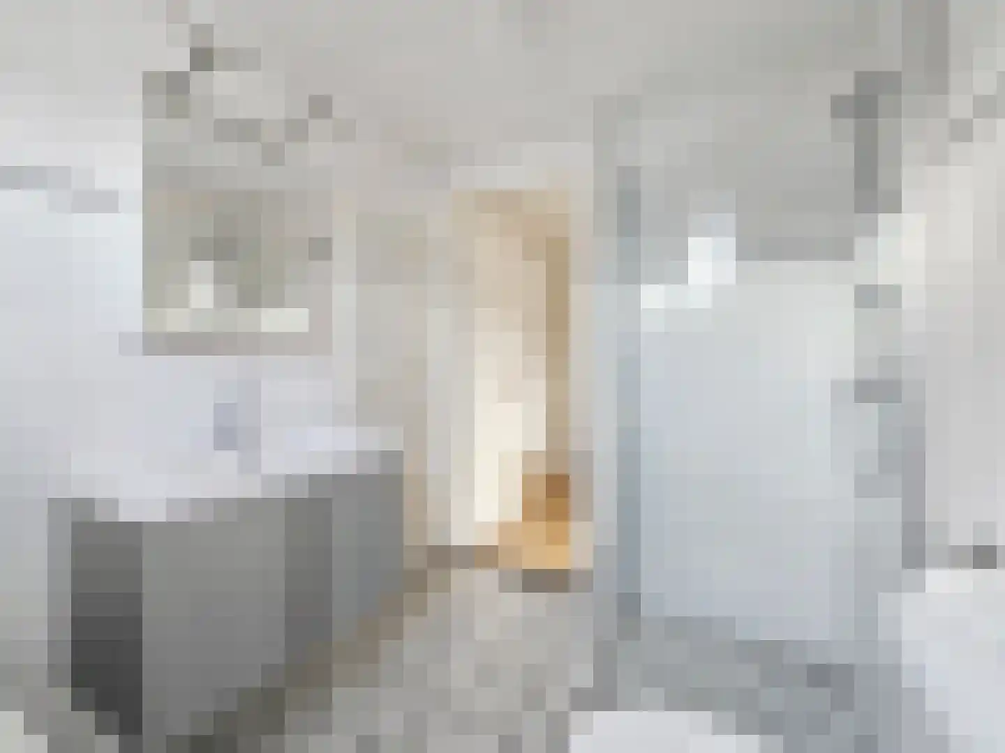 Doelstraat 15 Haarlem thumbnail 17