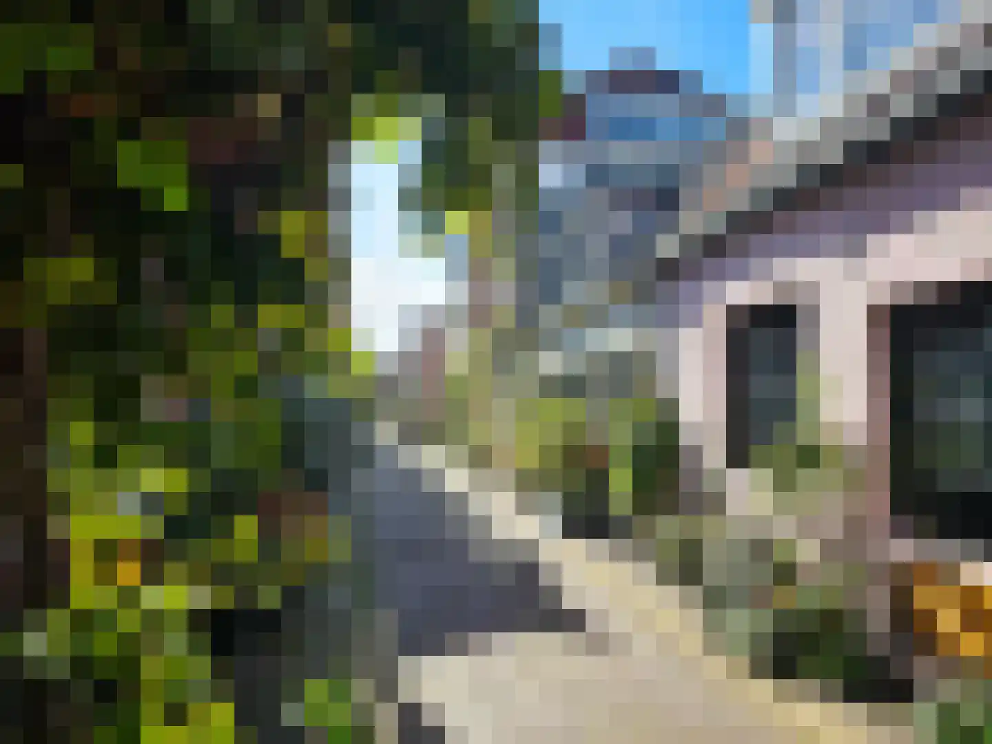 Doelstraat 15 Haarlem thumbnail 26