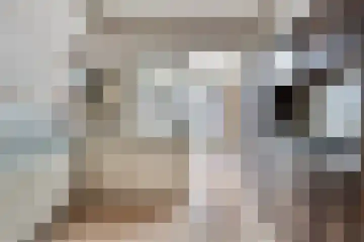 Doelstraat 17 Krabbendijke thumbnail 10