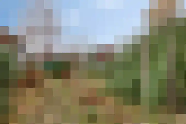 Doelstraat 17 Krabbendijke thumbnail 31