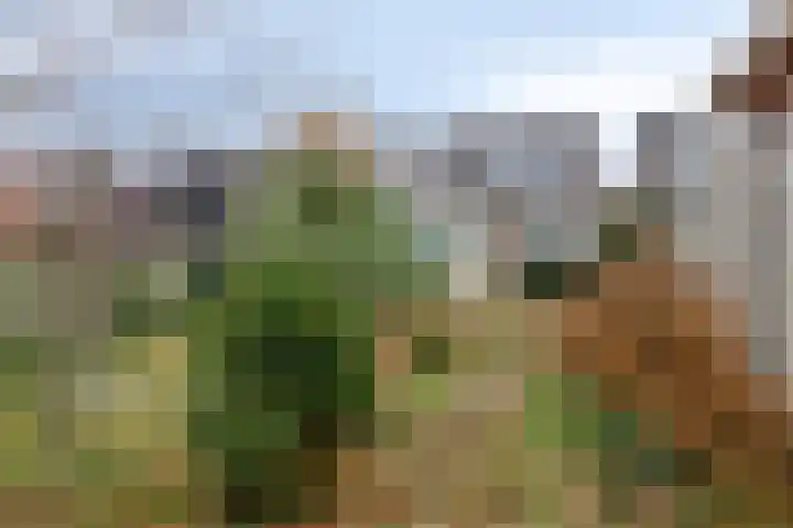 Doelstraat 17 Krabbendijke thumbnail 32
