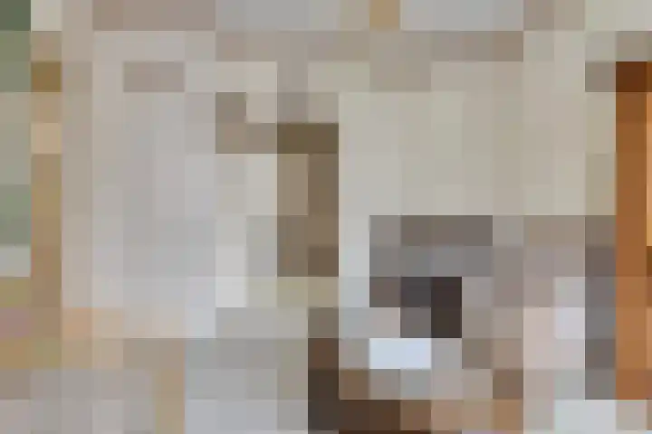 Doelstraat 17 Krabbendijke thumbnail 7