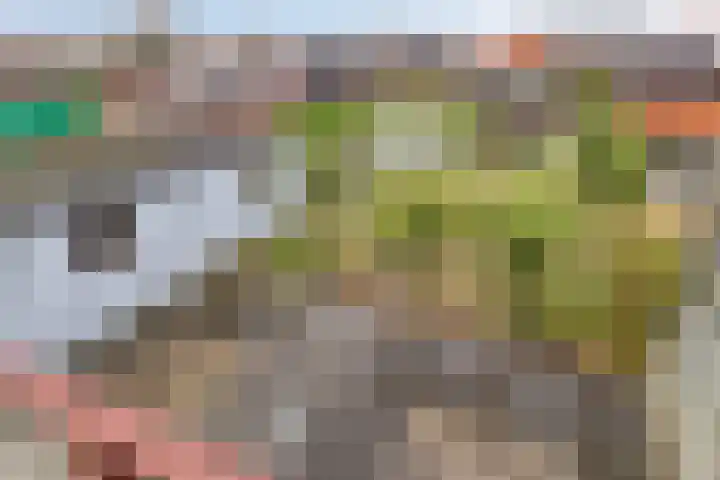Doelstraat 21 Krabbendijke thumbnail 28