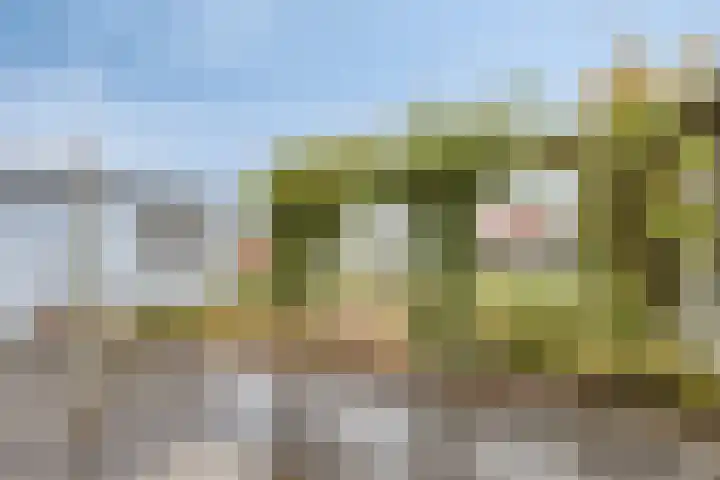 Doelstraat 21 Krabbendijke thumbnail 31