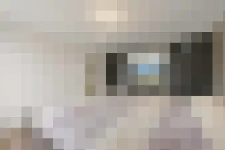 Doelstraat 21 Maasland thumbnail 21