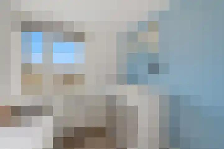 Doelstraat 21 Maasland thumbnail 23