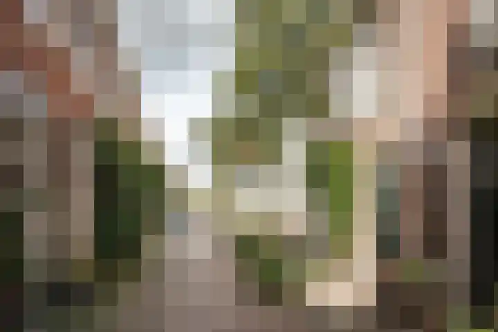 Doelstraat 23 Haarlem thumbnail 5