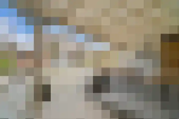 Doelstraat 25 Maasland thumbnail 17