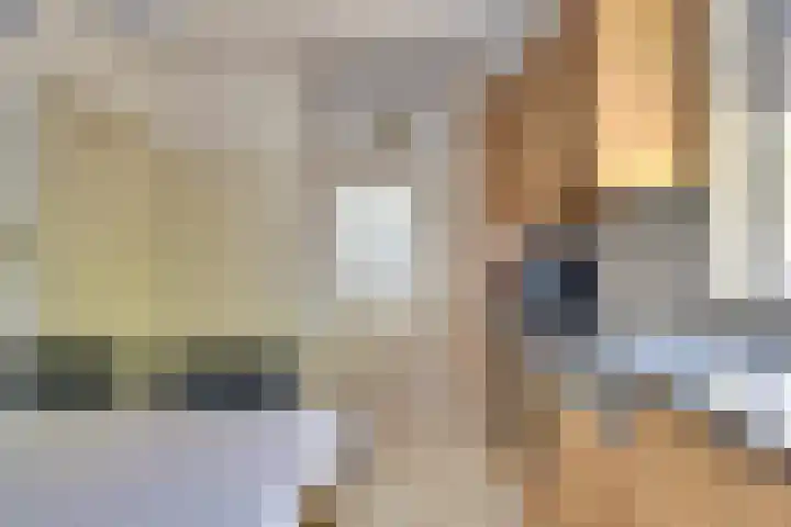 Doelstraat 27 Krabbendijke thumbnail 12
