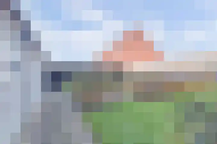 Doelstraat 27 Krabbendijke thumbnail 25