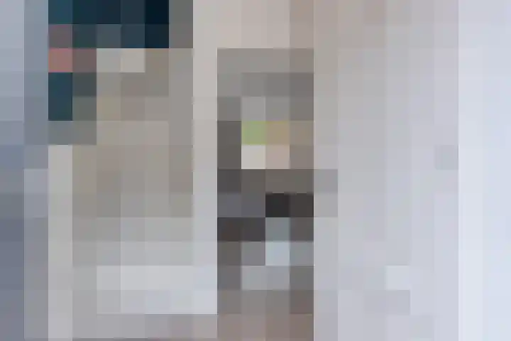 Doelstraat 38 Zevenbergen thumbnail 4