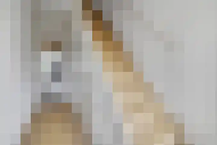 Doelstraat 43 Krabbendijke thumbnail 12