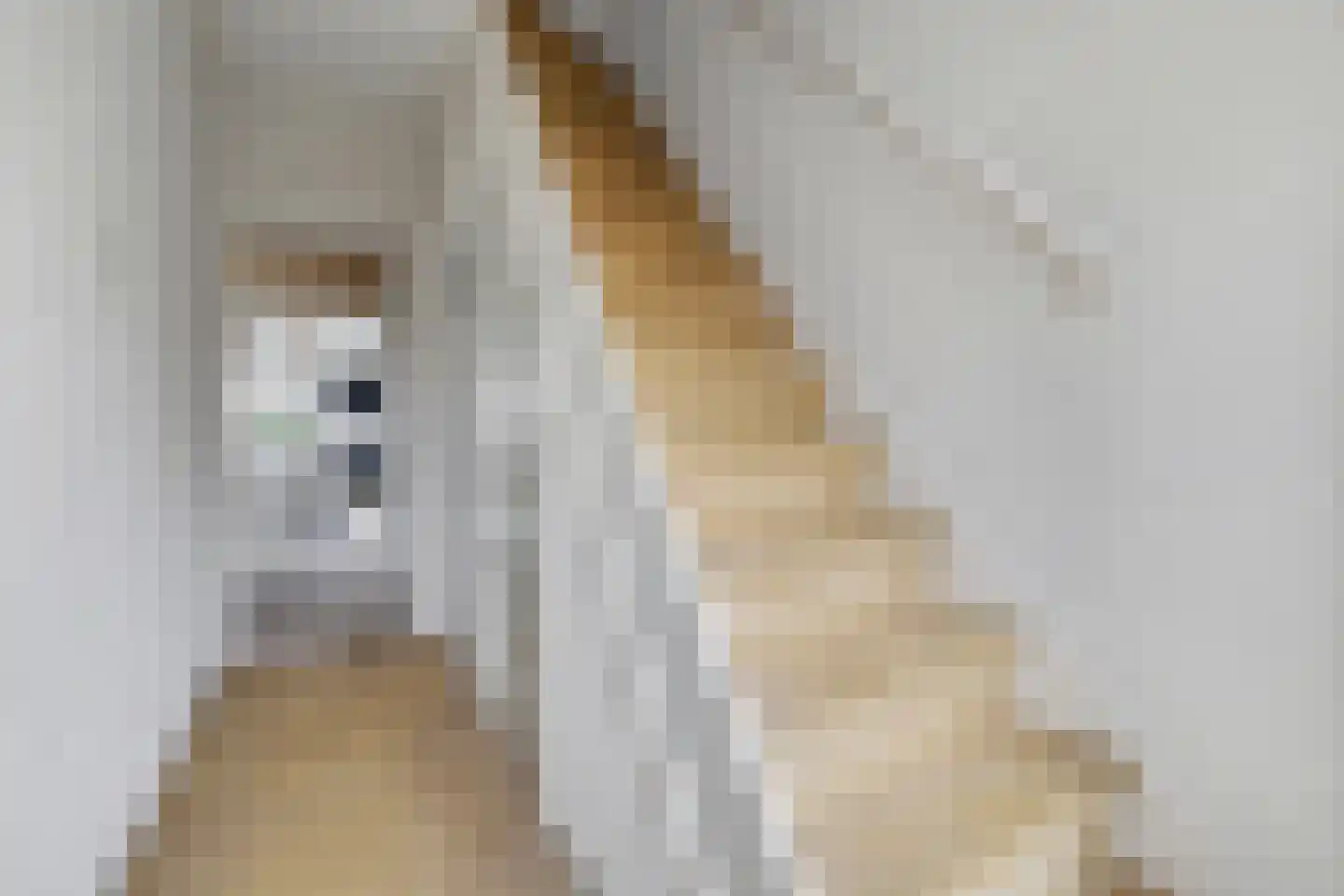 Doelstraat 43 Krabbendijke thumbnail 13