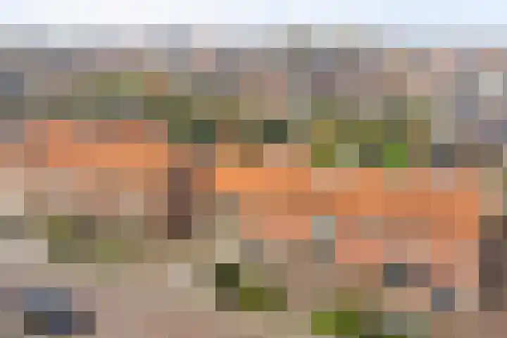 Doelstraat 43 Krabbendijke thumbnail 31